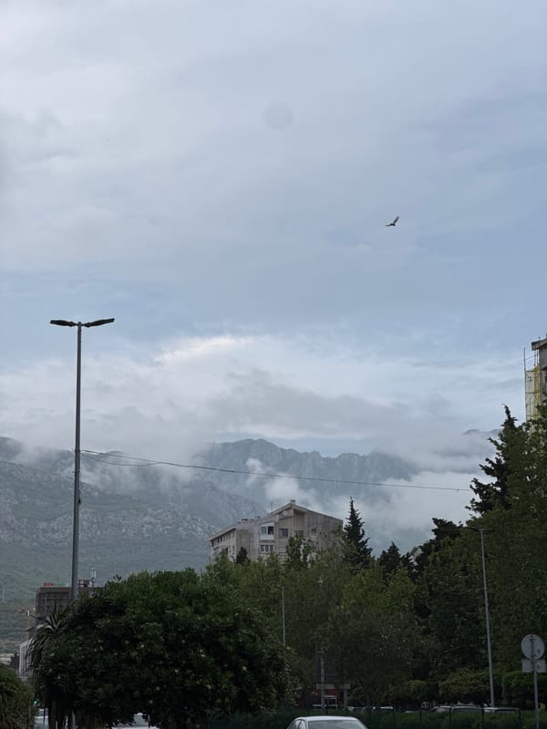 Friends document casual street outing in Polje, Montenegro