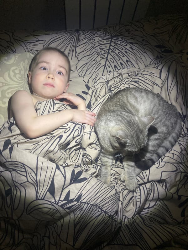 Baby and cat share quiet moment on bed
