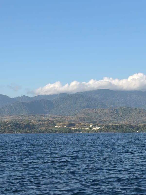 Dolphins, jukungs, and snorkeling off the Indonesian coast