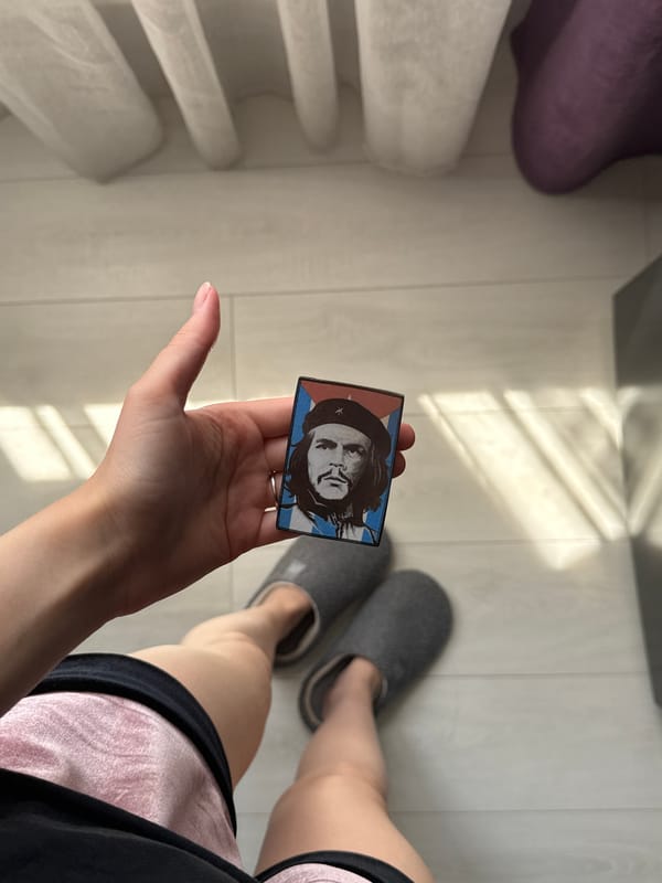 Red wine, dried flowers, and a Che Guevara sticker on a table