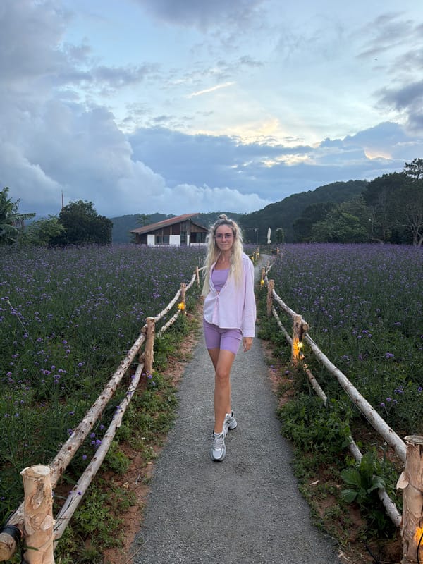 Purple flower fields and golden-hour light in Da Lat