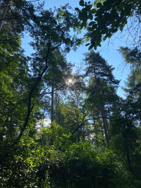 Forest selfie session on a sunny day near Yekaterinburg