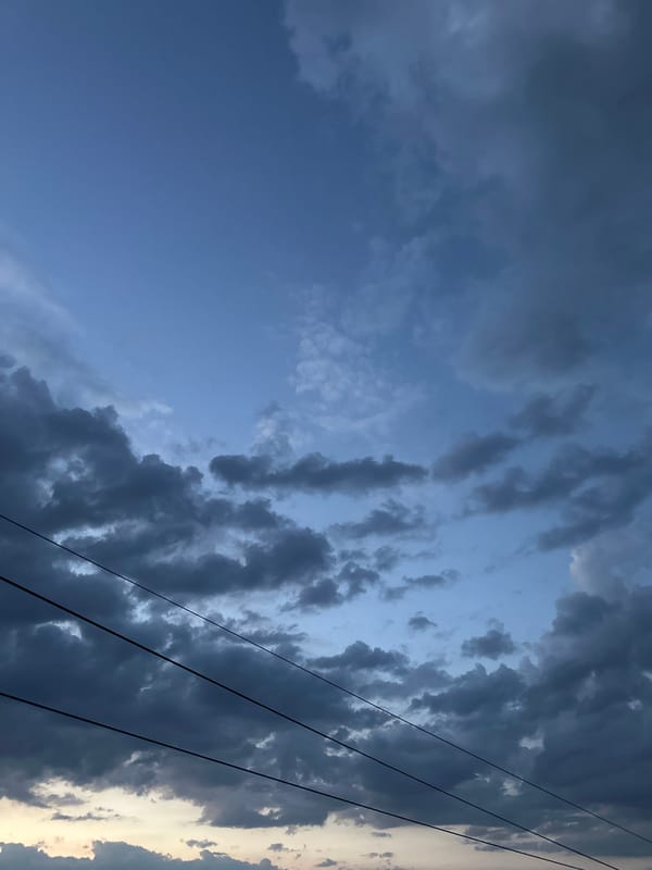 Cat watches a stormy twilight from a window in Energetik