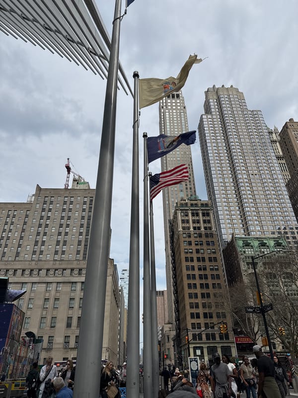 Lower Manhattan architecture and street activity observed near WTC