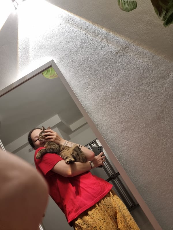 Mirror selfie and playful cat captured in Ramat Gan