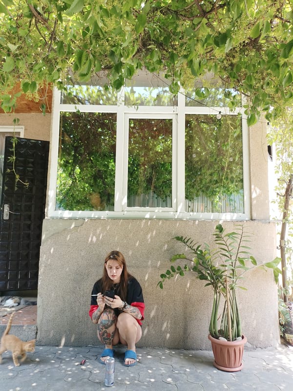 Morning coffee gathering with cats in Almaty residential courtyard
