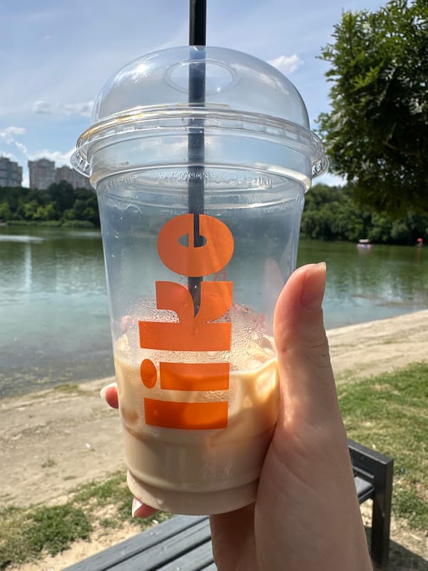 Afternoon at Chișinău's lakeside park, drinks and ducks included
