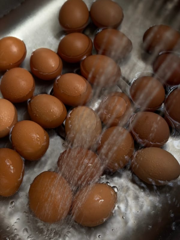 Brown eggs soaking in a running stainless steel sink