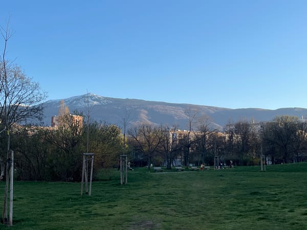 Spring blossoms captured in Sofia park with mountain backdrop