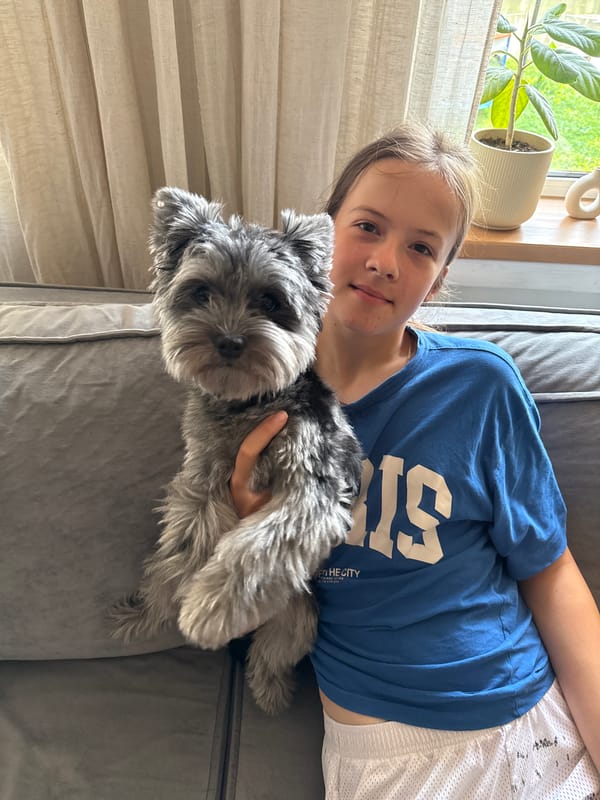 Snapdragons, a schnauzer, and a quiet morning in Chaikovsky