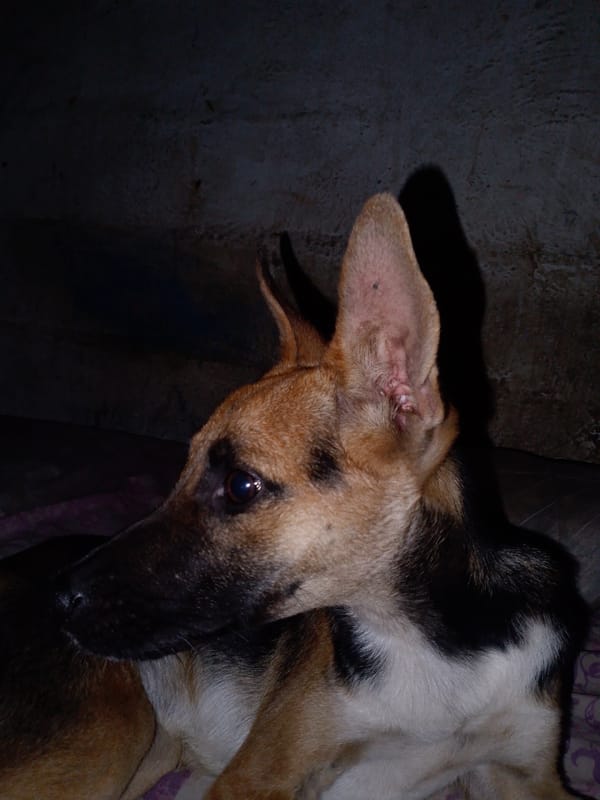 Quiet family moments captured in Venezuelan home during early morning