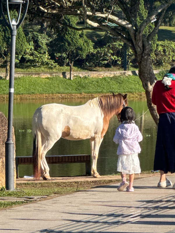 Early morning recreation scenes captured around Da Lat lake