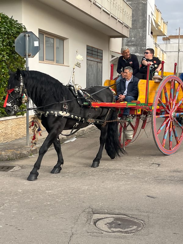 Traditional horse-drawn parade travels through Aradeo, Italy streets