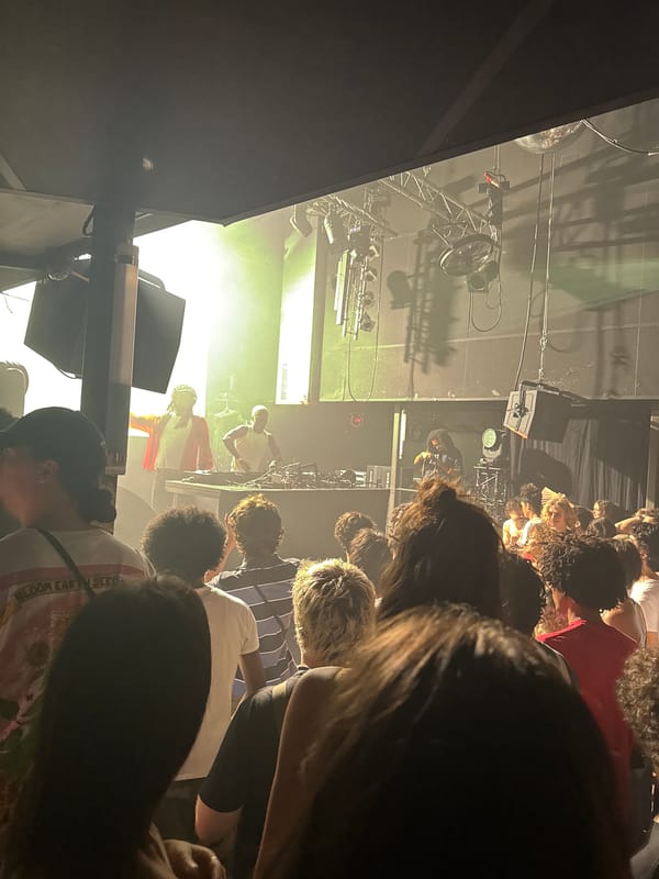 DJ performance draws crowds to Paris nightclub venue