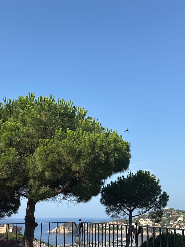 Balcony views over the Mediterranean in Sant Feliu de Guíxols