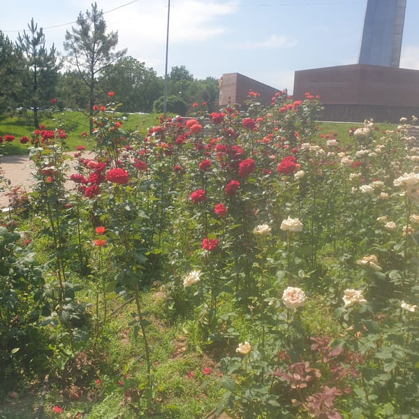 Morning scenes captured at WWII memorial park in Shymkent