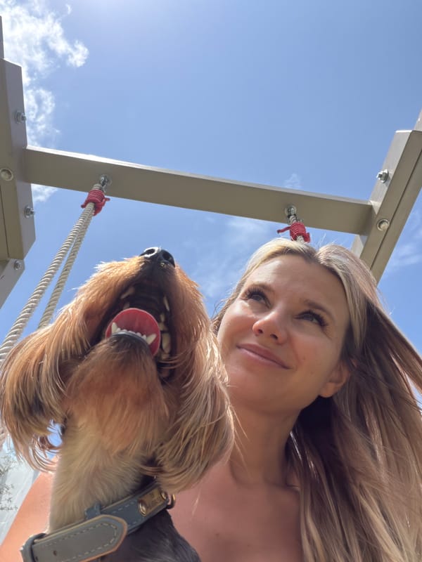 Swing set selfies with a Yorkshire Terrier in Thep Krasatti