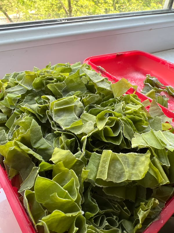 Morning food prep and daily life documented in Kyiv