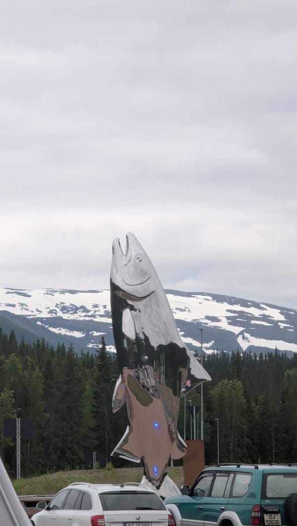 Afternoon wander through Trofors: sculpture, riverbank, and wildflowers
