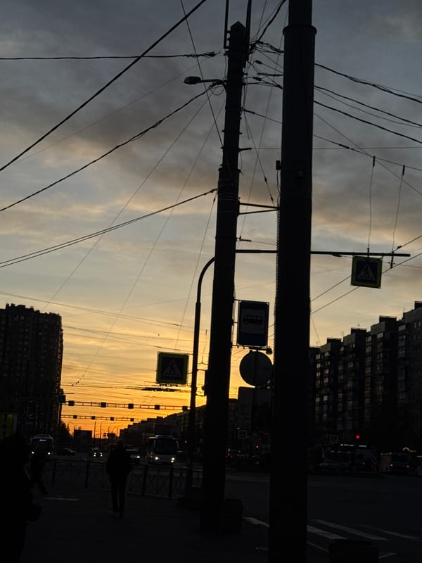 Saint Petersburg sunset creates dramatic urban silhouettes, contrail spotted