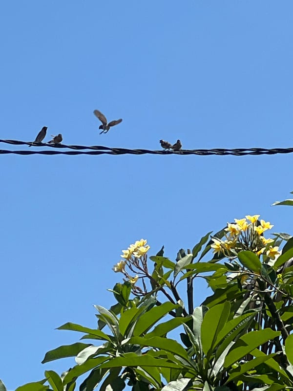 Morning scenes documented at North Kuta resort area