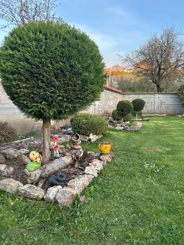Residential garden with decorative landscaping documented in Buhovo, Bulgaria