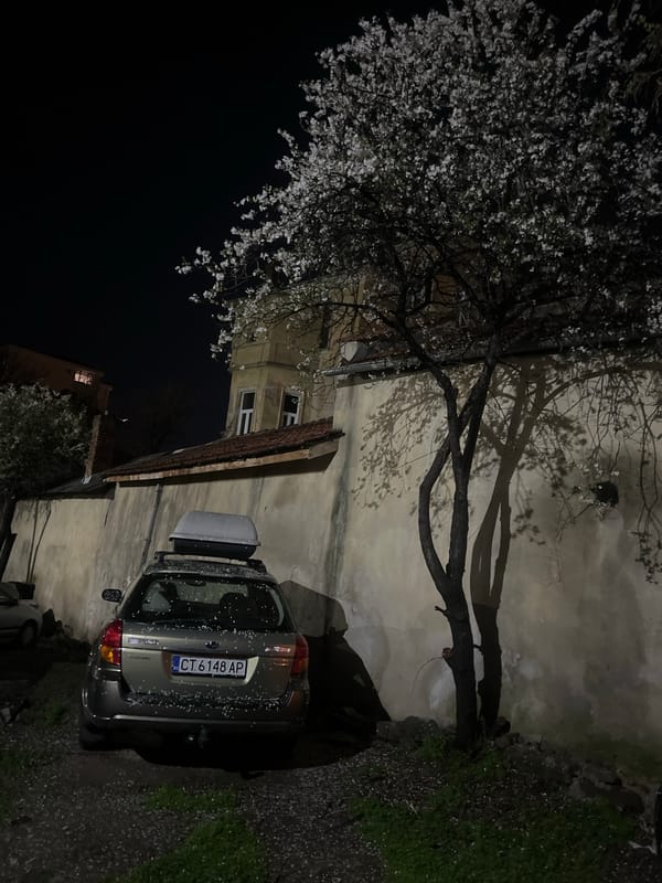 Silver Subaru parked in residential Sliven alleyway with flower petals
