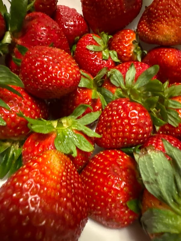 Fresh strawberries documented in Coquitlam