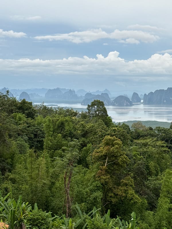 Phang Nga Bay karst views from Tha Yu, plus one kitten