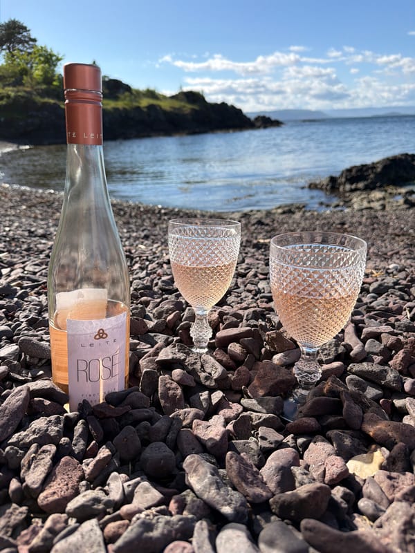 Rosé wine glasses rest on stone shoreline in Norway