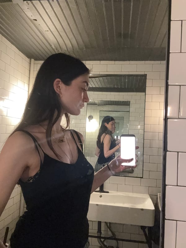 Woman takes bathroom selfie in NYC early morning