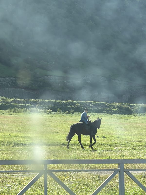 Horseback riding and grazing cattle in rural Karachayevsk