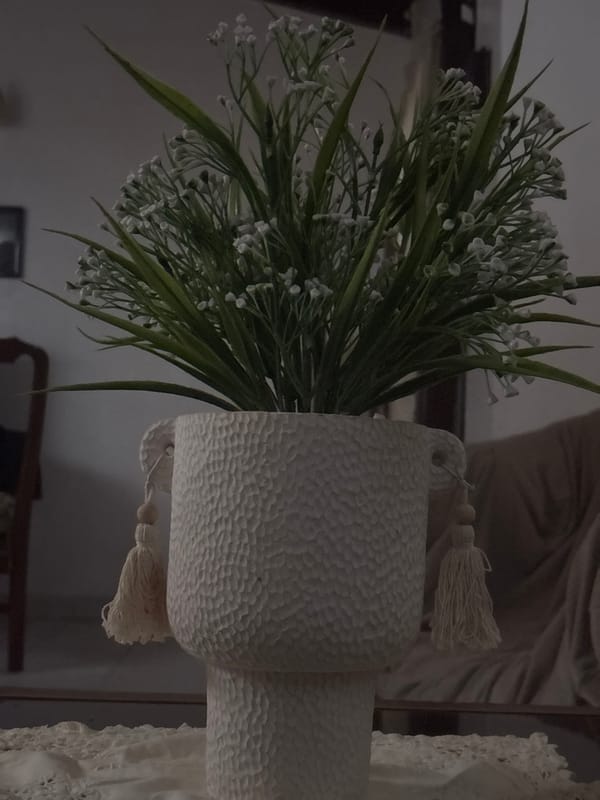 Decorative vase and cylinder observed in Venezuelan town