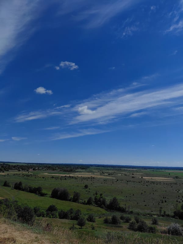 Morning countryside walk through Ustyvytsia's rolling hills and sunflower fields