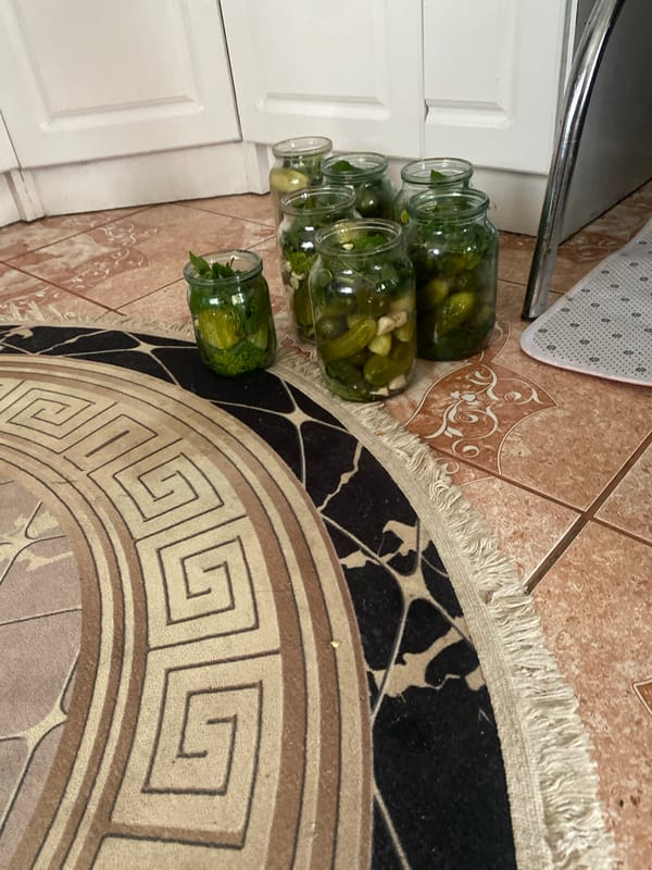 Flowers and pickles at a Ukrainian home in summer