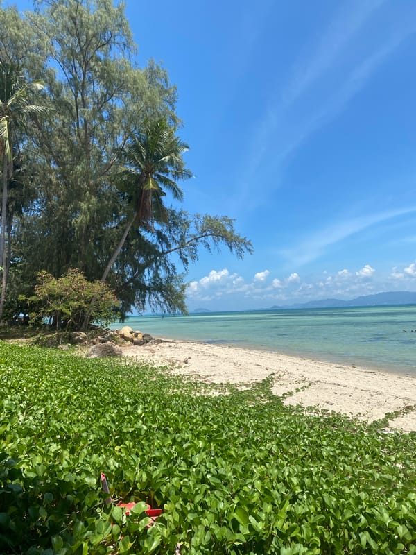 Early morning beach scenes documented in rural Thailand