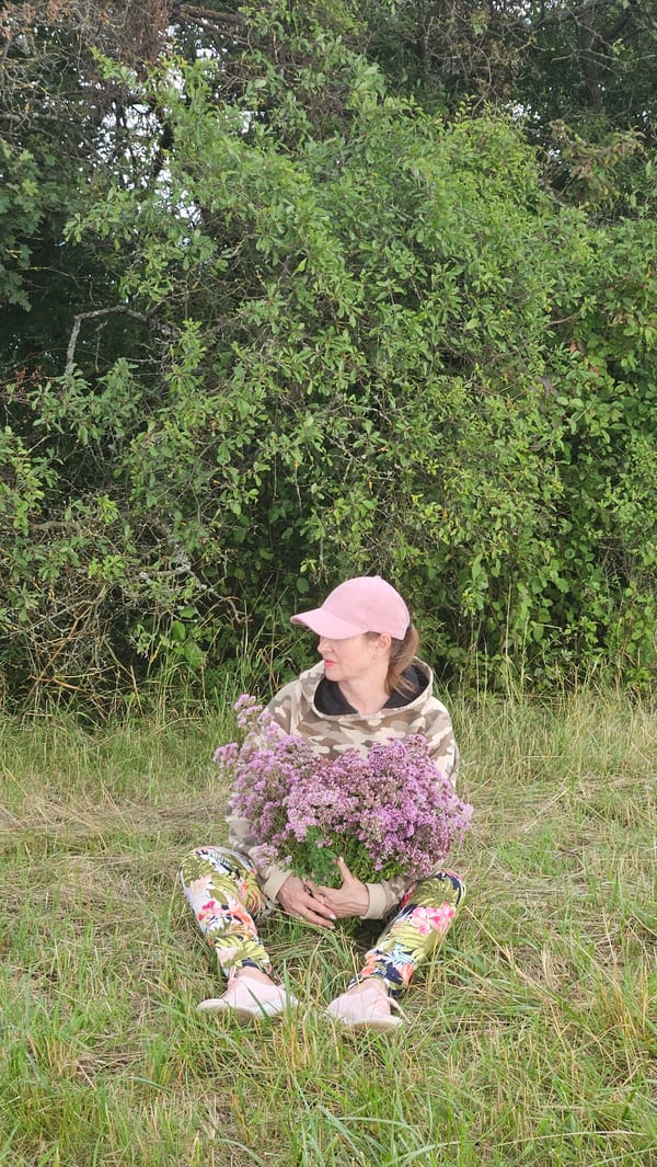 Hilltop afternoon above Prešov, city views and wildflowers