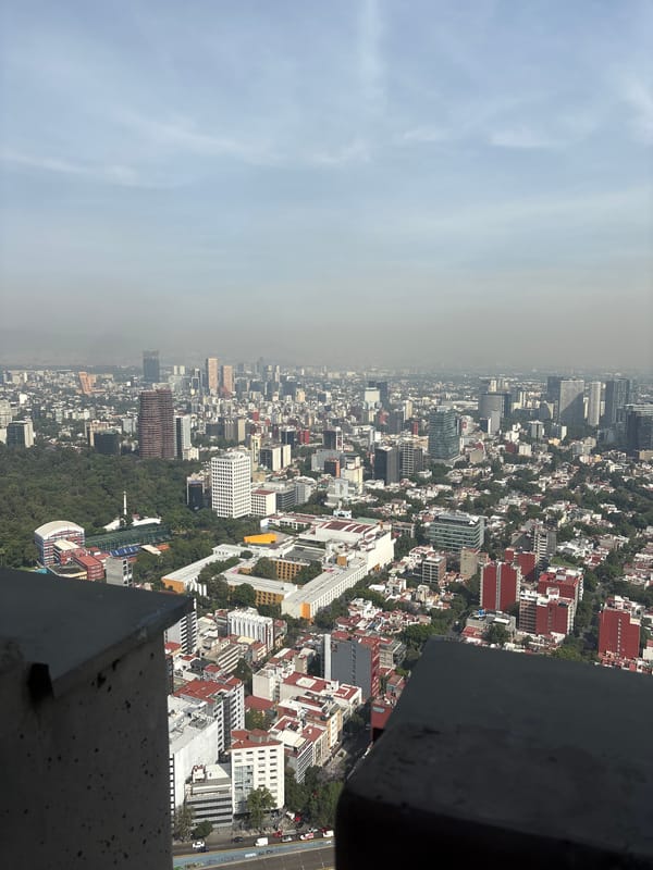 Urban scenes documented across Mexico City afternoon hours