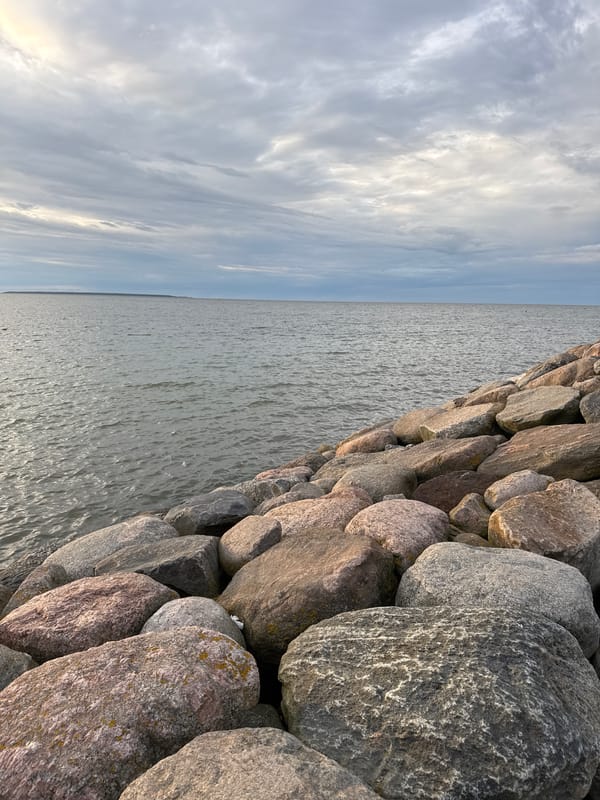 Tallinn's Baltic waterfront at dusk, harbor and shoreline