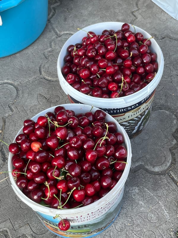 Cherry and mulberry harvest time in Seredivka