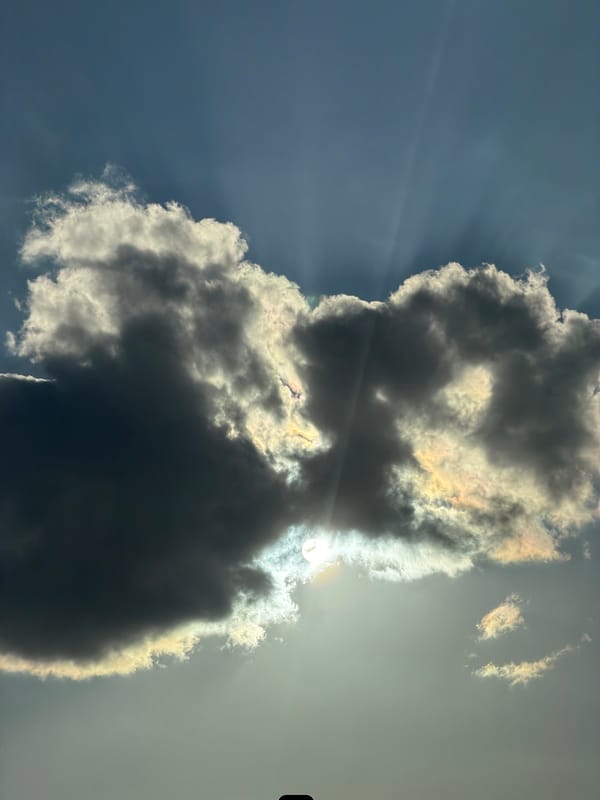Ordinary moments captured in Esch-sur-Alzette: clouds, metal, dog