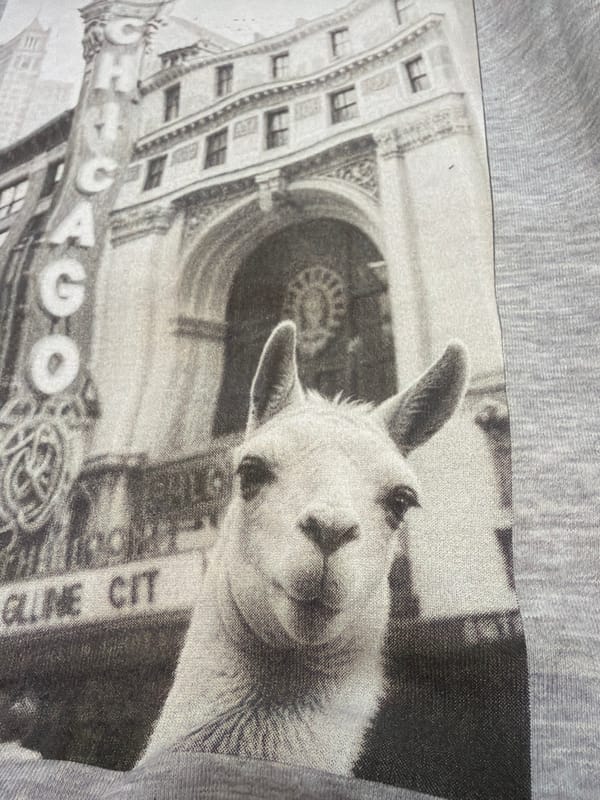 Llama-themed novelty T-shirt spotted in Krasnoyarsk, Russia