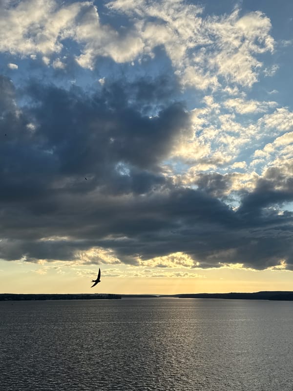 Dramatic sunset photographed over Kama River in Votkinsk, Russia