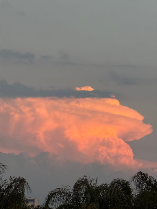 Evening exercise and sunset views captured across Puebla metro