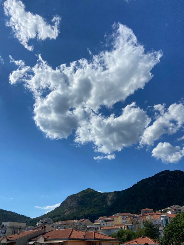 Budva's rooftops and forested mountains on a clear summer day