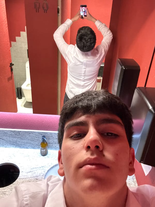 Restaurant worker takes bathroom selfies during break in Yerevan