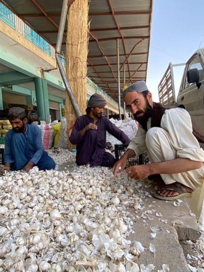Garlic vendors sort produce at morning market in Kandahar
