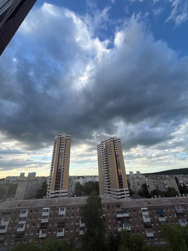 Afternoon dog walk documented through changing urban cityscape
