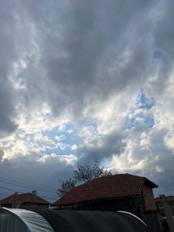 Ordinary afternoon moments documented in Karavelovo, Bulgaria village