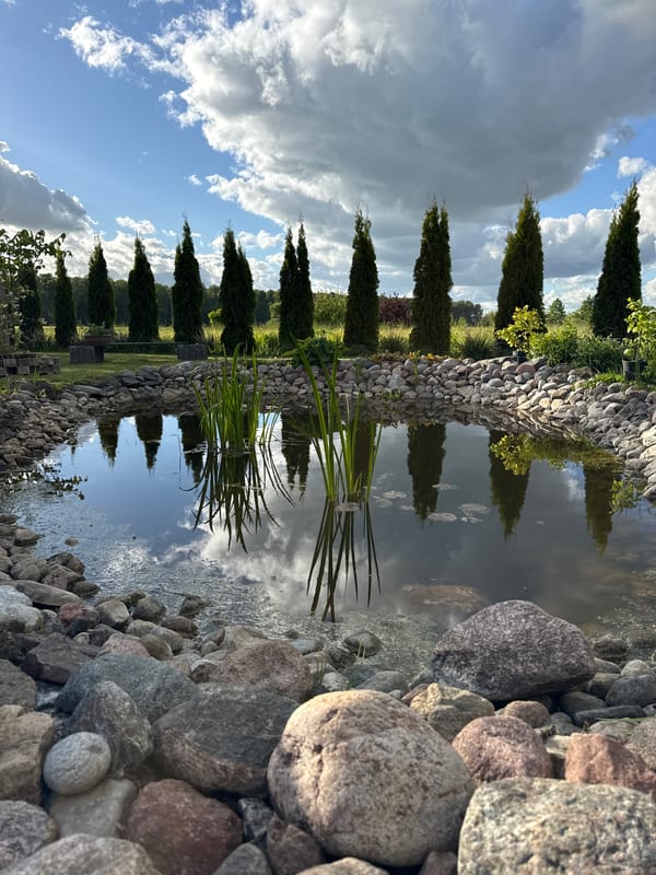 Peaceful pond and garden scenes captured in Anglininkai, Lithuania